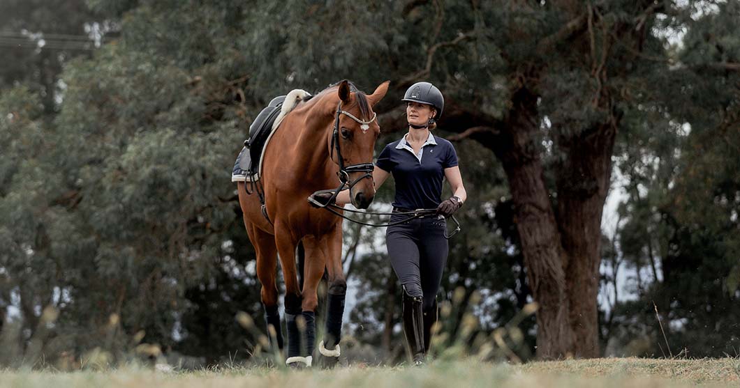 Treatment of intercarpal joint lameness using Arthramid