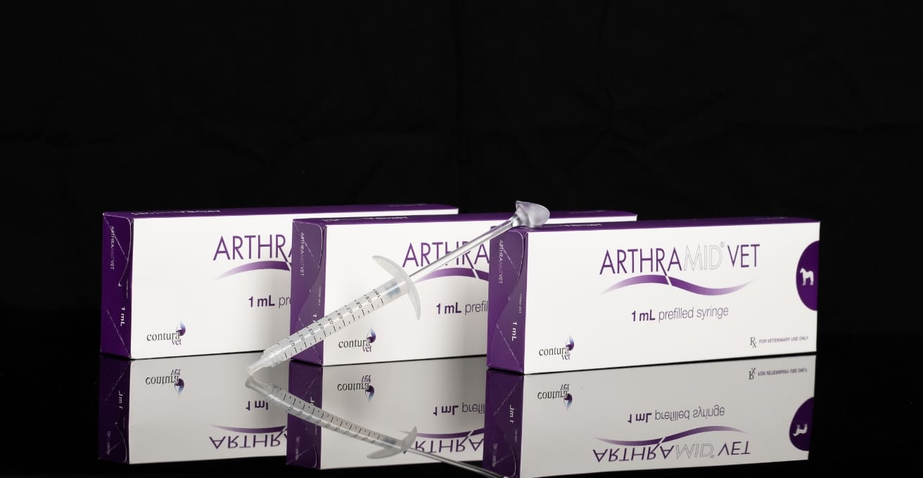 Arthramid for equine arthritis
