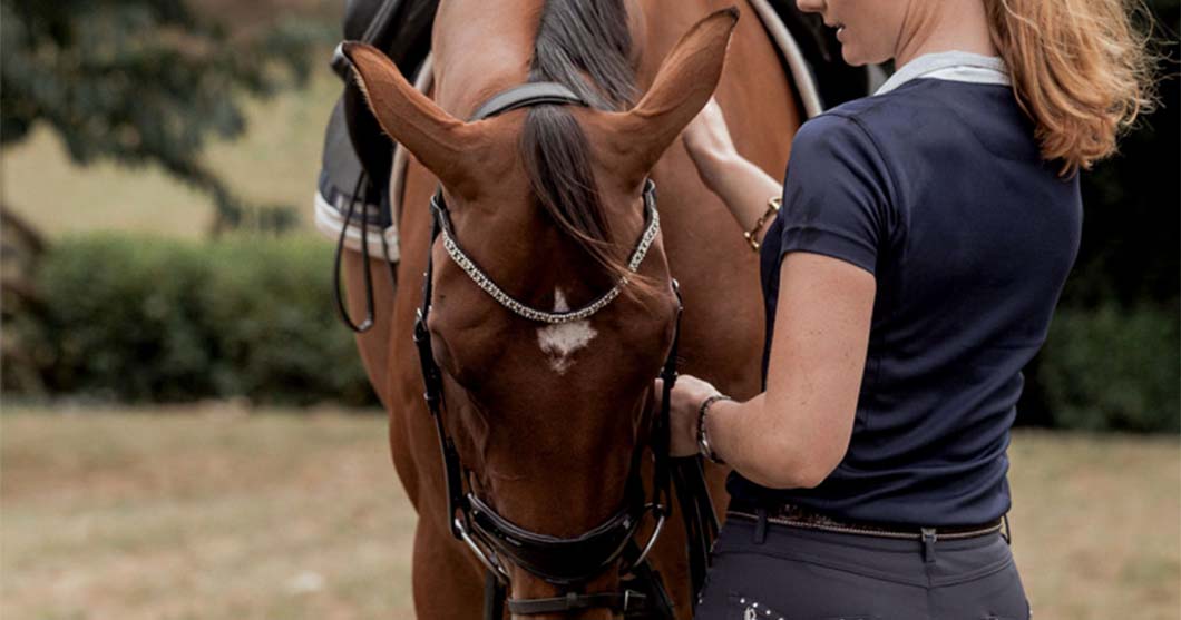 human and horse connection