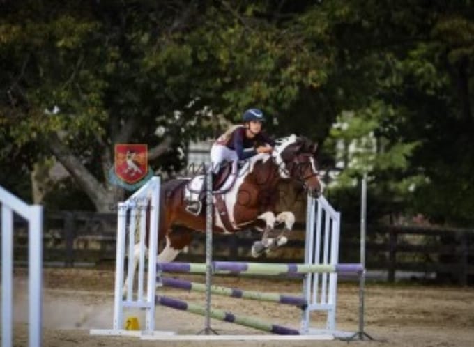 Summer's success story with Arthramid