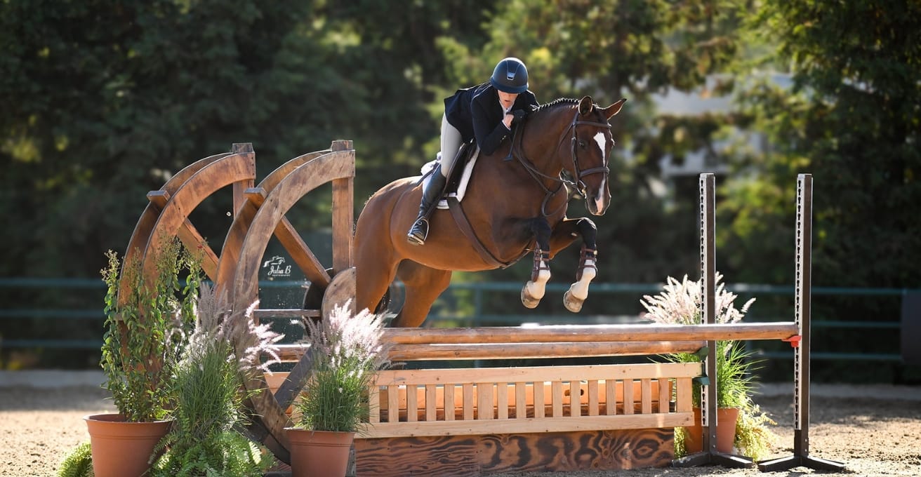 Arthramid Joint Spotlight: The stifle