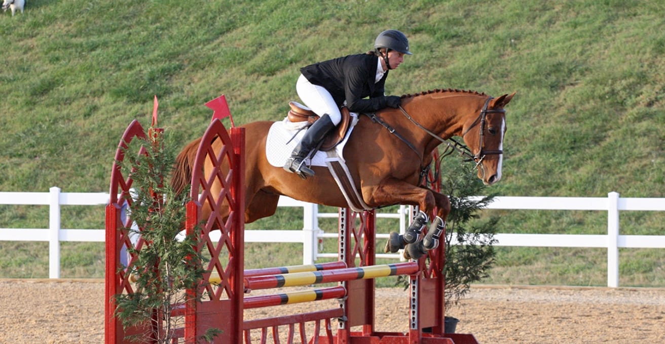 Arthramid use in the hock