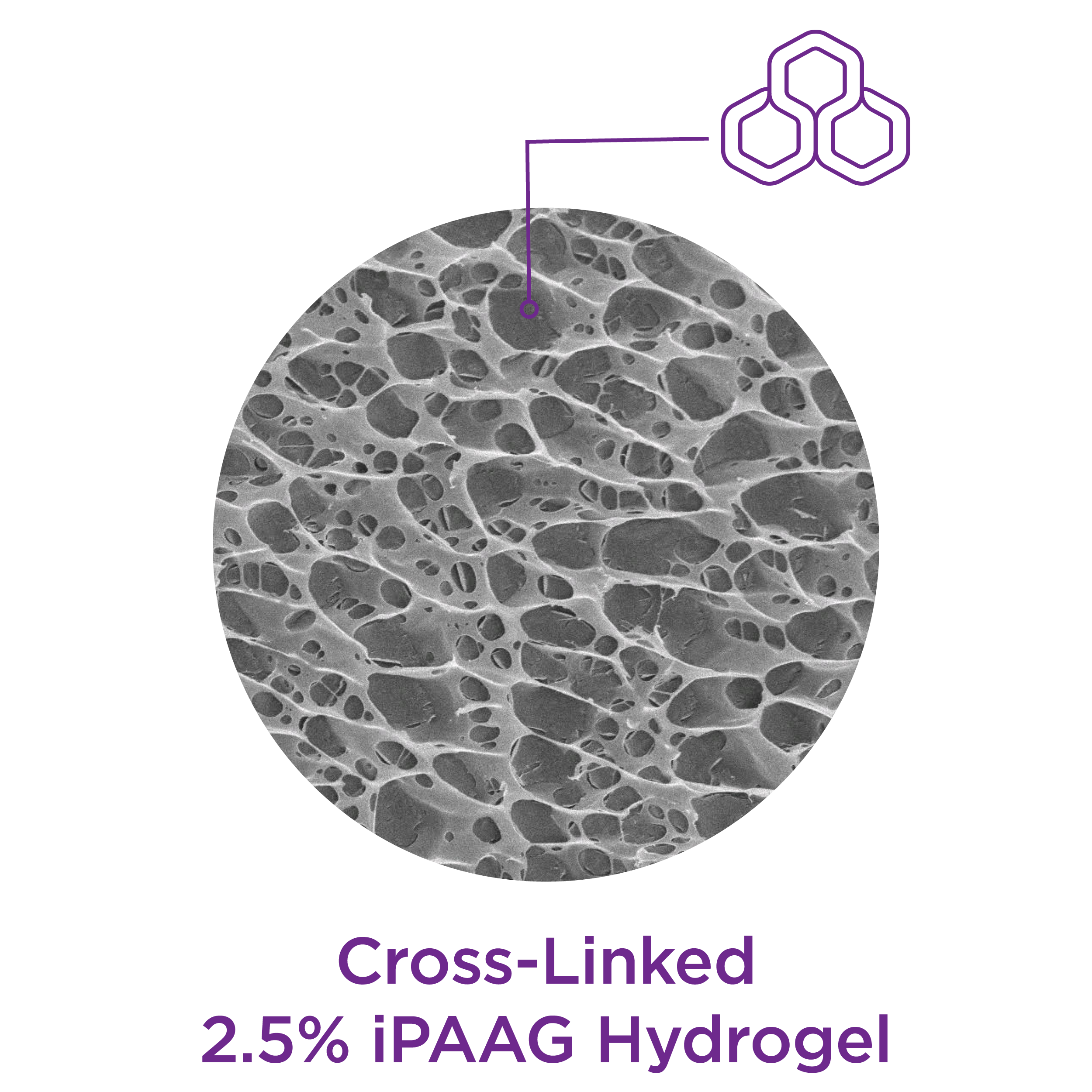 cross-linked iPAAG