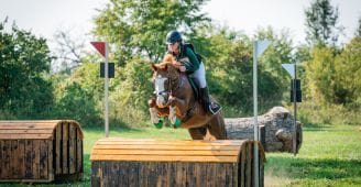 Chance, the pony saved by Arthramid