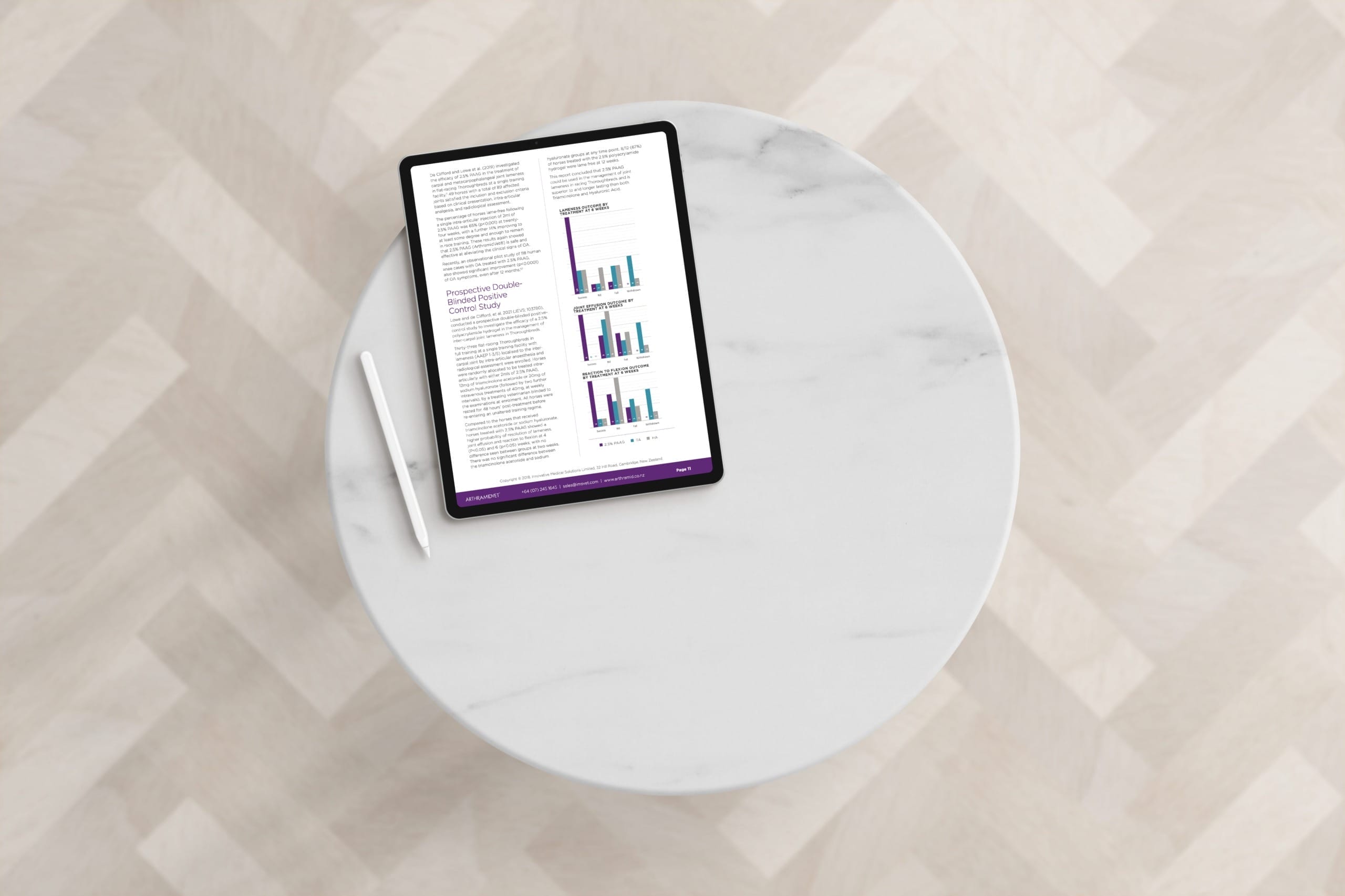 Equine White paper