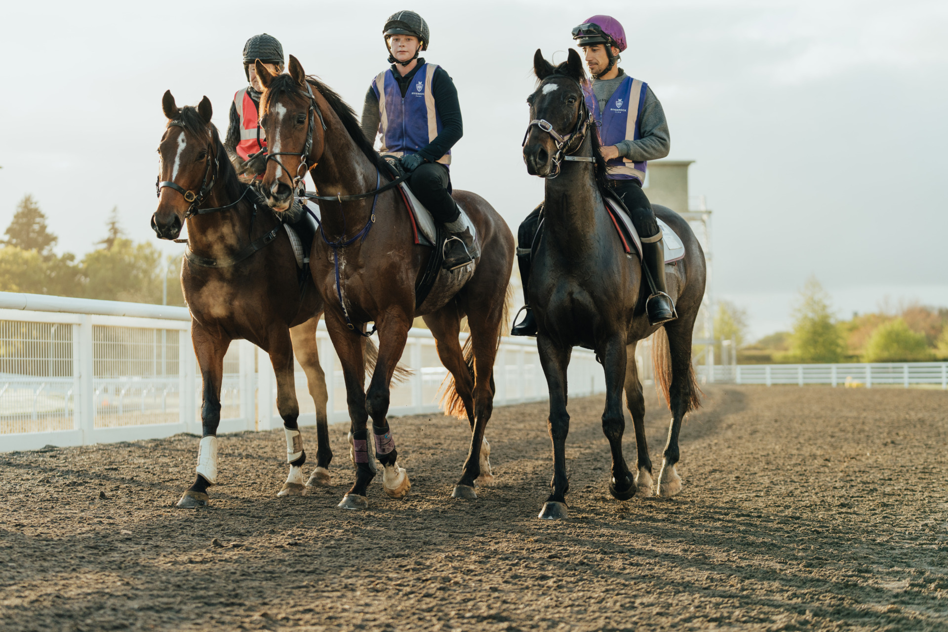 Riverrock trainer at track with horses