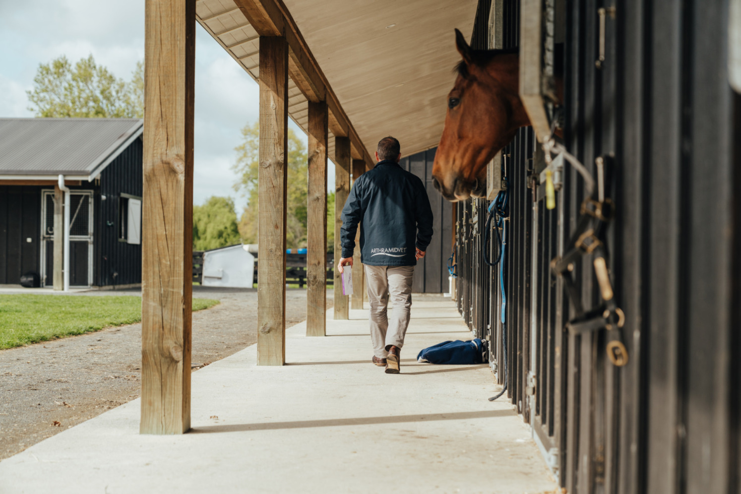 Vet walking in stables