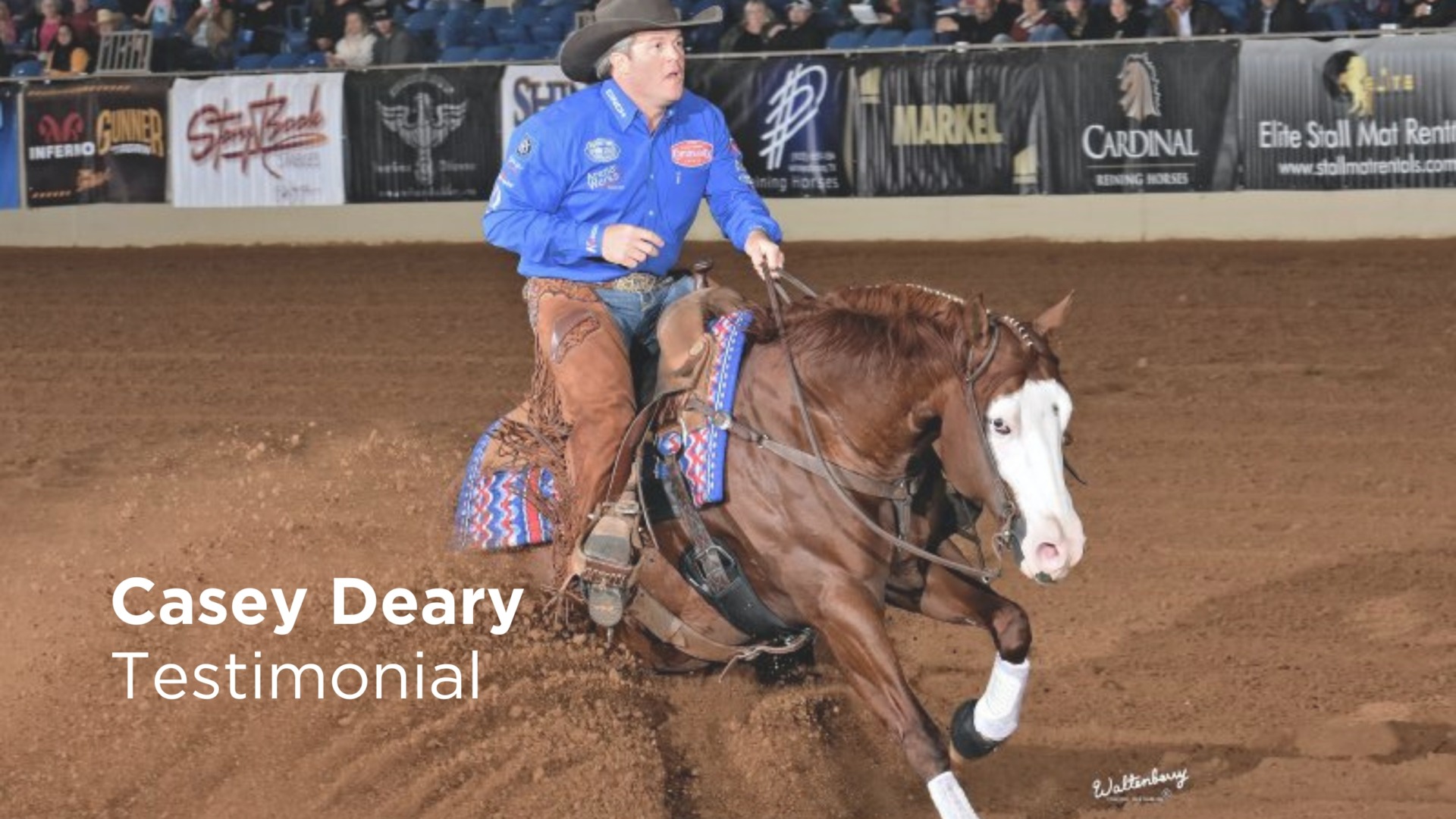 Casey Deary testimonial