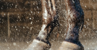 Fetlock Joint Arthritis in Horses: