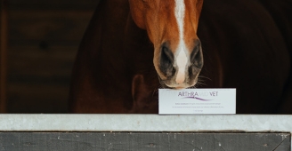 Equine joint injections, considerations