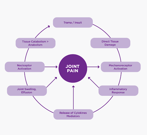 Joint Pain cycle