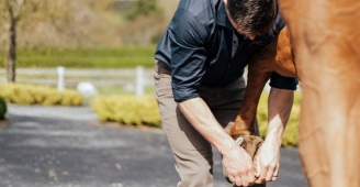 Arthramid Joint Spotlight

