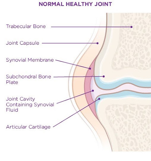 normal joint environment