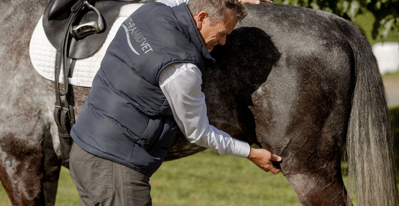 Managing Stifle lameness in horses