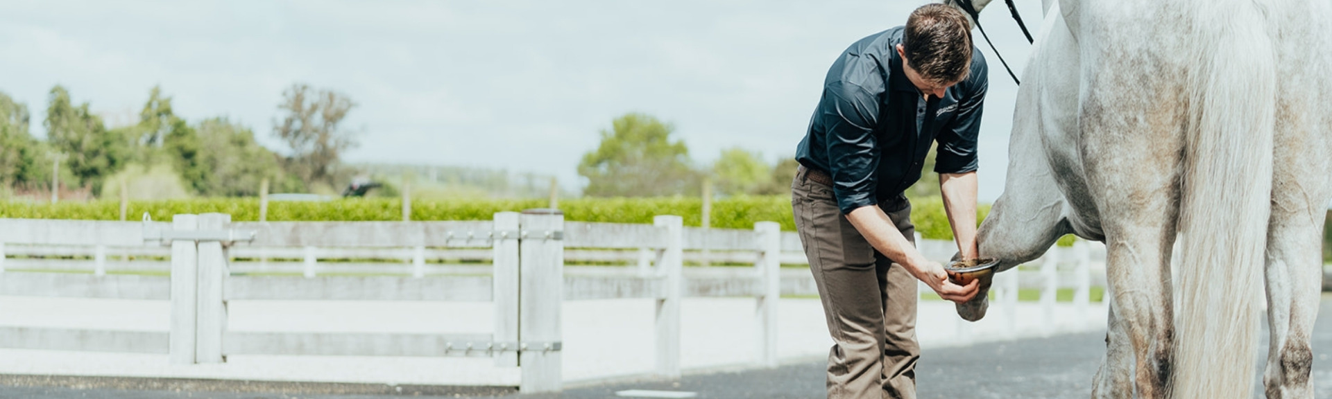 Vet conducting lameness exam