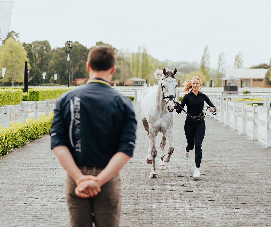 Owner trotting up grey horse