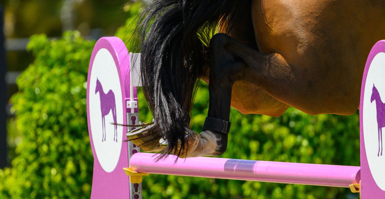 How Joint Injections Work in Horses