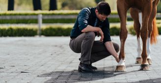 Managing-Arthritis-in-Horses
