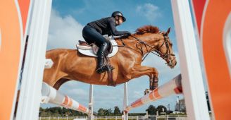 long term joint management in performance horses